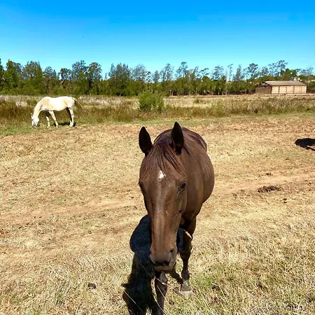 Casa Dos Arcos - Penina וילה
