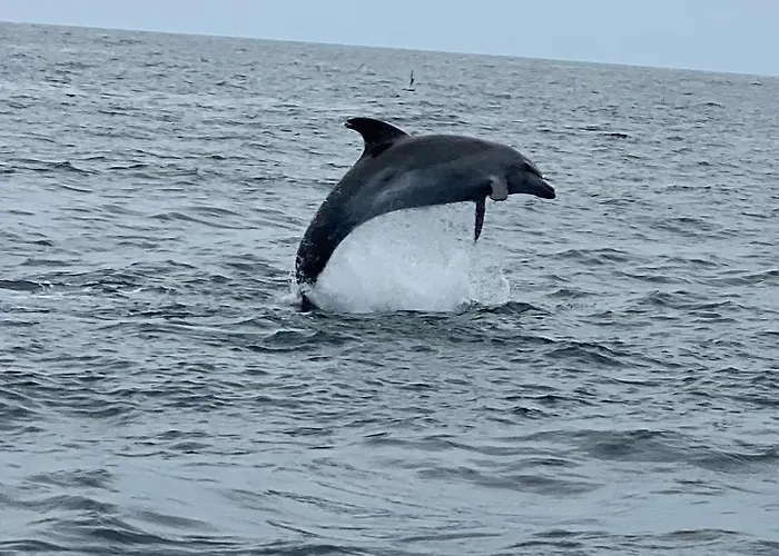 Casa Dos Arcos - Penina Вилла